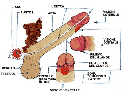 Altri dettagli su www.sessosublime.it